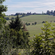 Marche d'Automne de Saint-Julien-de-Jonzy