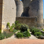 Atelier découverte Mon herbier
